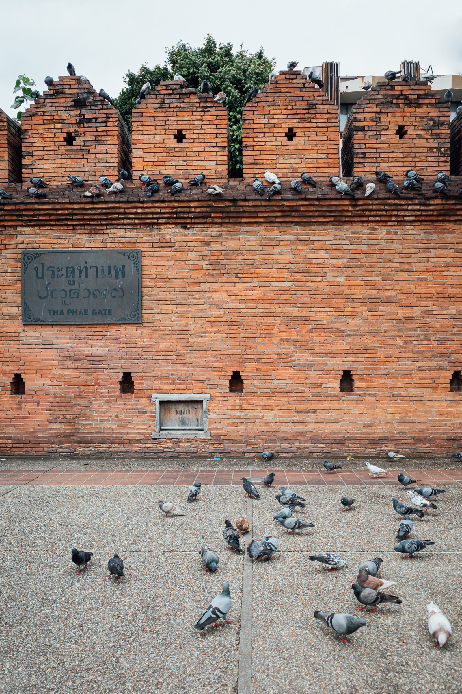 チェンマイ ターペー門