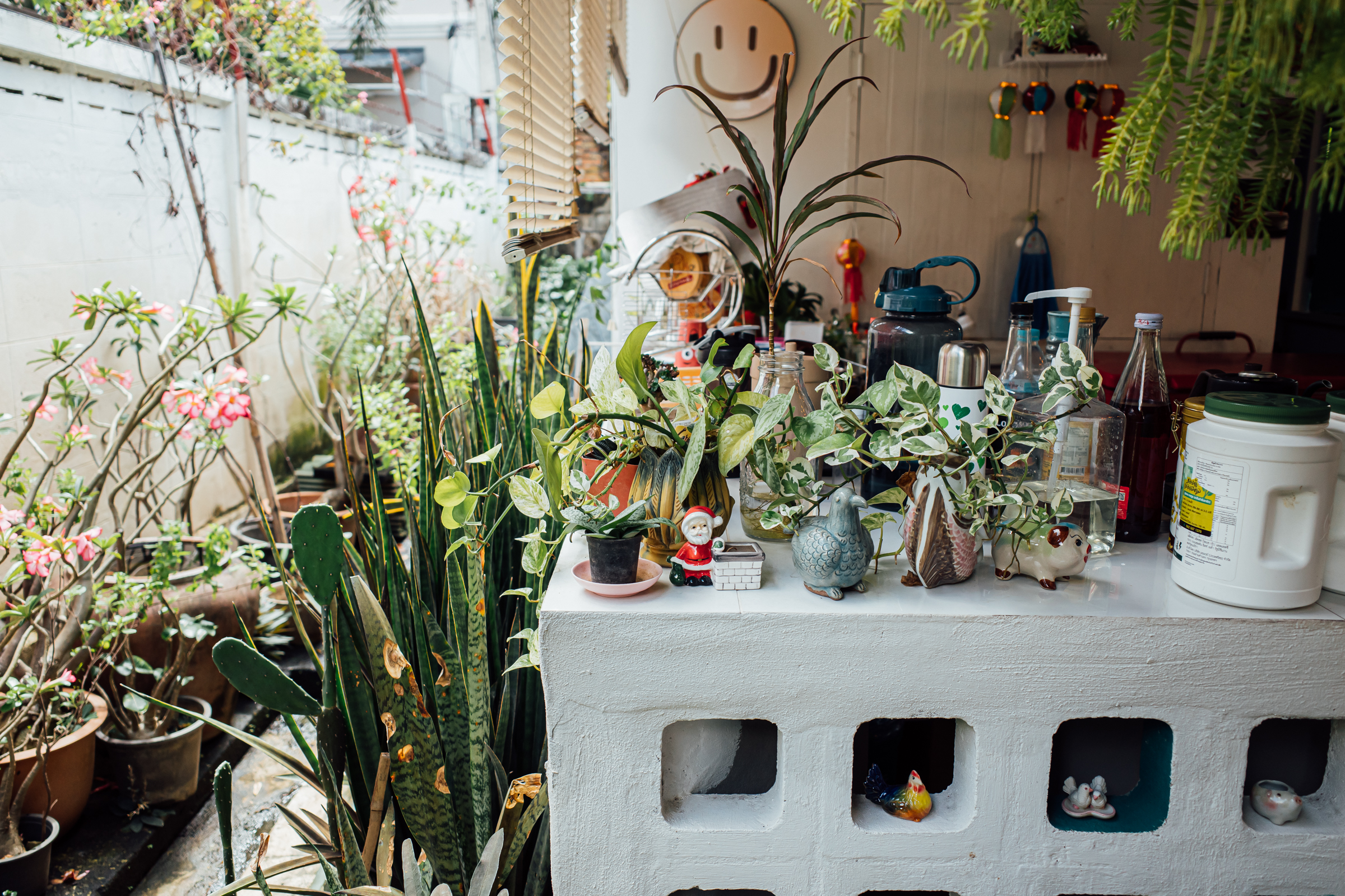 チェンマイ 16SPACE